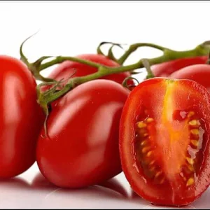 Roma Tomato Plant 2.5" Pot - Superior Paste Tomato Meaty Variety