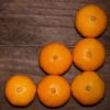 Satsuma Mandarin Plant - 3 Ft Live Fruit Tree - Sweet Citrus