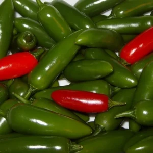 Serrano Hot Pepper Plant - 4 Inch Pot - Salsa Garden - Spicy Peppers