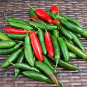 Serrano Pepper Plants - Set of 2 Hot Chili Pepper Starter Plants 4-6 Inch Height