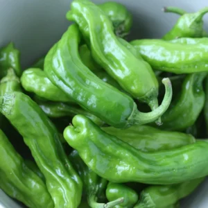 Shishito Sweet Wrinkled Old Man Pepper Plant - 2.5
