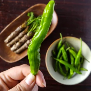 Shishito Sweet Wrinkled Old Man Pepper Plant - 2.5