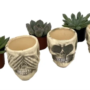 Skull Planters with Succulents Set of 3 - Ceramic 3-inch Pots - Unique Decor