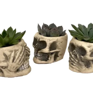 Skull Planters with Succulents Set of 3 - Ceramic 3-inch Pots - Unique Decor