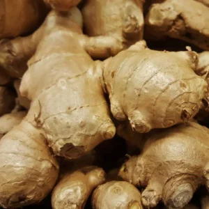 Spice Ginger Galangal Plant - Fragrant Alpinia Galanga - 4