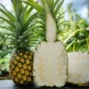 Sugarloaf Pineapple Plant 3-Pack - Kona Pineapple Starter Plant - Edible Fruit Bush