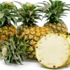 Sugarloaf Pineapple Plant Kona Sugarloaf Ananas Comosus Starter Plant Perennial Fruit Bush Edible