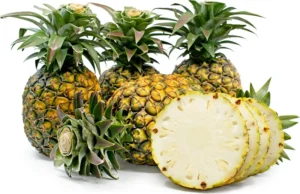 Sugarloaf Pineapple Plant Kona Sugarloaf Ananas Comosus Starter Plant Perennial Fruit Bush Edible