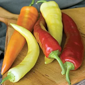 Sweet Banana Pepper Plant - Heirloom - 4 Inch Pot - Vegetable Plant