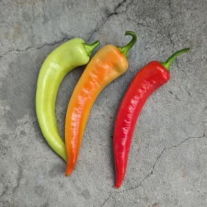 Sweet Banana Pepper Plants Set - 4-6 Inch Banana Chili Pepper Starter Plants