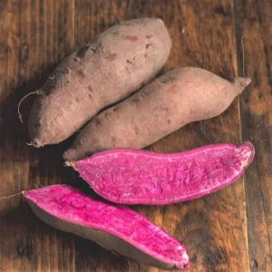 Sweet Potato Vine Slips - 3 Potted Live Plants - Hawaiian Variety