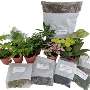 Terrarium Kit with Plants and Ferns - DIY Terrarium Garden - Includes 10 Plants