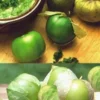 Tomatillo Plant - Husk Tomato - 2.5 inch Pot - Garden Ready