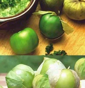 Tomatillo Plant - Husk Tomato - 2.5 inch Pot - Garden Ready