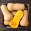 Waltham Butternut Squash Plant 4" Pot - Grow Indoors or Outdoors - Winter Squash