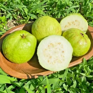 White Guava