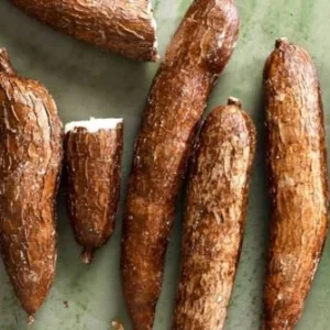 Yuca Cassava Cuttings - 4 Root Plant Starts - 6-8 Inch Planting Pieces