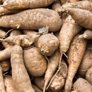 Yuca Cassava Cuttings - 4 Root Plant Starts - 6-8 Inch Planting Pieces