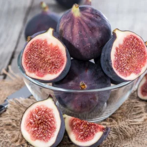 5 Dwarf Fig Tree Starter Plant - Self Fertile Perennial Fig Plant