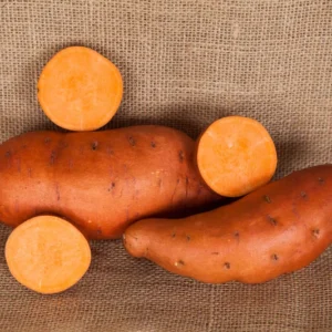 Beauregard Sweet Potato Slips - 10 Orange Sweet Potato Vine Plants
