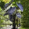 Black Coral Elephant Ear Calocasia esculenta Rooted Plant - 3" Pot - Dark Foliage