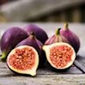 Black Mission Fig Tree Starter Plant - Ficus Carica - Perennial Fruit Tree