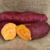 Carolina Ruby Sweet Potato Slips - 10 Plant Bundle - Orange Red Sweet Potato Vine