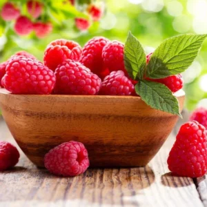 Caroline Red Raspberry Plants Set of 2 Live Bushes Edible Berries Outdoor Planting 4 to 6 Inch Tall