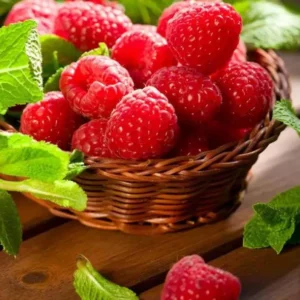 Caroline Red Raspberry Plants Set of 2 Live Bushes Edible Berries Outdoor Planting 4 to 6 Inch Tall