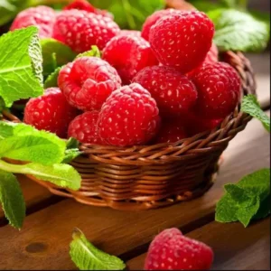 Caroline Red Raspberry Plants - Set of 2 Live Raspberry Bushes - Sweet Fruit Seedlings - Indoor/Outdoor Planting