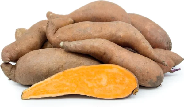 Covington Sweet Potato Slips - 10 Non GMO Plants for Your Garden