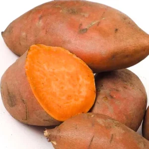 Covington Sweet Potato Slips - 10 Non GMO Plants for Your Garden