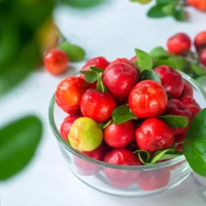 Dwarf Barbados Cherry Plant Live - 4 to 6 Inch Garden Plant