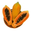Dwarf Papaya (Braziliam) Tropical Fruit Tree - 2 Gallon Pot