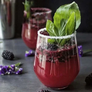 Everbearing Mulberry Tree - Morus nigra Fruit Plant, 2-3 ft Tall, 1 Gallon Pot