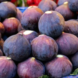 Fignominal Fig Tree Plant - Ficus Carica Chicago Hardy - 4 to 6 Inch Live Plant - Patio and Garden Tree