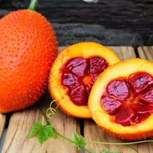 Gac Fruit Seeds - Sweet Gourd - 10 Seeds - Momordica CochinchinensisSeeds
