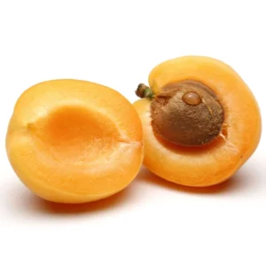 Hardy Apricot Tree Starter Plant - Red Fruit, 8-12 Inch, Self-Pollinating, Zones 5-8