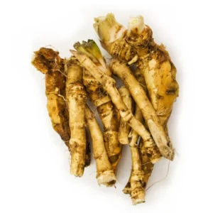 Horseradish Crowns Armoracia Rusticana Roots - Planting Roots