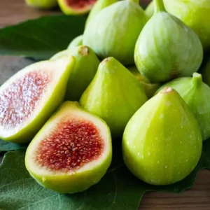 Ischia Fig Plant Live - Ficus Carica Tree - 4 to 6 Inch Patio Garden