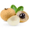 Longan Plant Live - 5-8 Inch Sweet Longan Fruit Tree - Potted