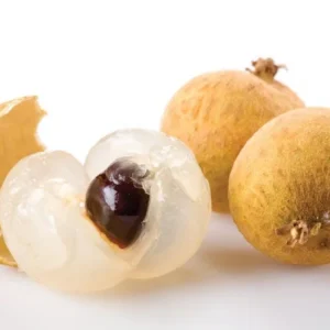 Longan Plant Live - 5-8 Inch Sweet Longan Fruit Tree - Potted