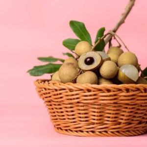 Longan Plant Live - 5-8 Inch Sweet Longan Fruit Tree - Potted
