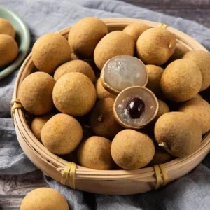 Longan Plant Live - 5-8 Inch Sweet Longan Fruit Tree - Potted