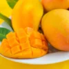 Mango Tree Mallika Variety Grafted Fruit Tree Semi-Dwarf