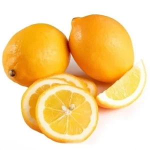 Meyer Lemon Tree Plant - 2-3 Inch Yellow Lemon Fruit Tree - Citrus Plant