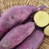 Murasaki Sweet Potato Slips - 10 Japanese Red Sweet Potato Plants - Non GMO