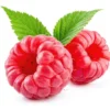 Natahalla Thornless Raspberry Plants Live - Set of 2 Thornless Raspberry Bushes for Planting