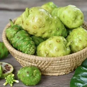 Noni Morinda Citrifolia Seeds - 50 Seeds - Grow Your Own Noni Fruit