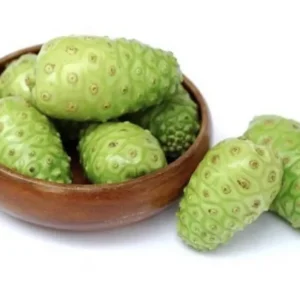 Noni Morinda Citrifolia Seeds - 50 Seeds - Grow Your Own Noni Fruit